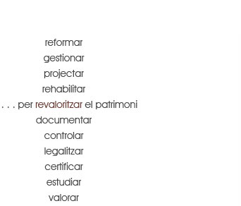 agora management